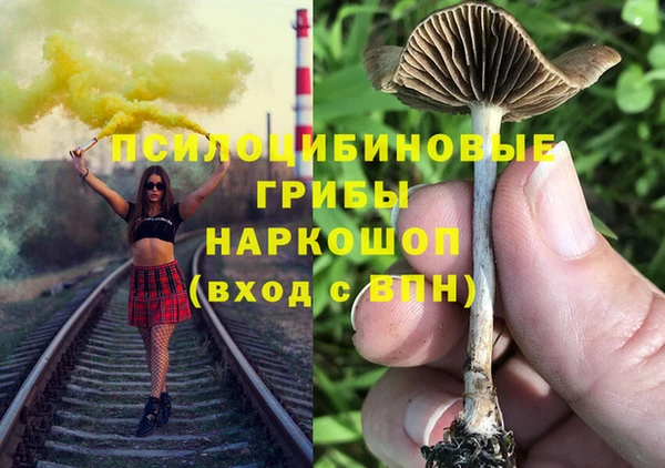 твердый Алексеевка