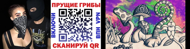 Галлюциногенные грибы Psilocybine cubensis  Дмитриев 